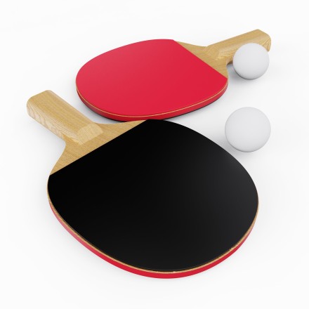 Теннисный стол DFC RQ24002, размер по стандарту ITTF 274 x 152, с сеткой и ракетками Теннисный стол DFC RQ24002, размер по стандарту ITTF 274 x 152, с сеткой и ракетками