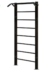 Шведская стенка с турником RS2020