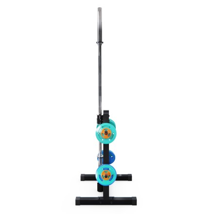 Стойка для хранения дисков WEIDER Стойка для хранения дисков WEIDER