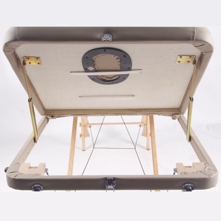 Массажный стол DFC PROFI3 TS312H складной