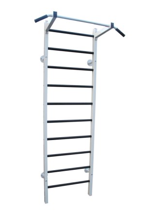 Шведская стенка RS-2T