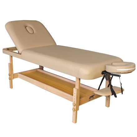 Массажный стационарный стол DFC SUPERIOR2 TS200/2 с регулировкой для спины/ног