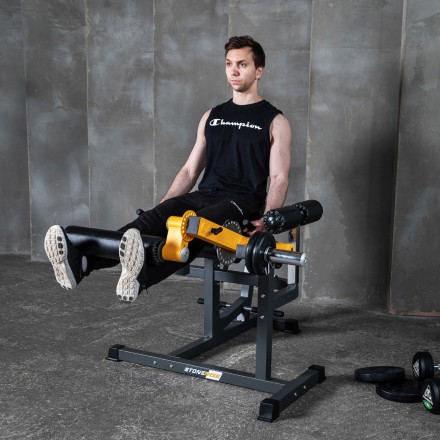 Тренажер для сгибания-разгибания ног STONERISE DTrainer Тренажер для сгибания-разгибания ног STONERISE DTrainer