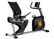 Велотренажер Hasttings Wega RS400