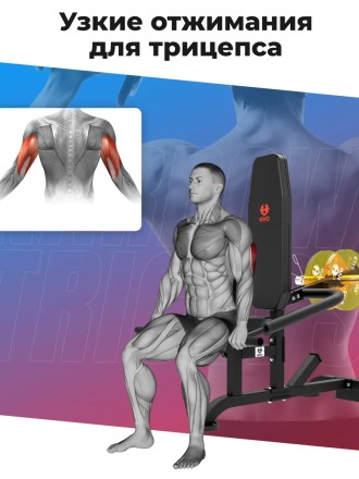 Тренажер для бицепса и трицепса DFC D2003A Тренажер для бицепса и трицепса DFC D2003A