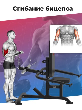 Тренажер для бицепса и трицепса DFC D2003A Тренажер для бицепса и трицепса DFC D2003A