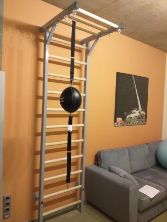 Шведская стенка комбинированная турник-рукоход Шведская стенка комбинированная турник-рукоход