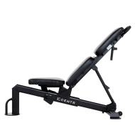 Универсальная скамья CENTR Muli-Adjustable Flat, Incline, Decline, Workout Bench (FID5.1) Универсальная скамья CENTR Muli-Adjustable Flat, Incline, Decline, Workout Bench (FID5.1)