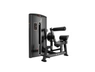 Разгибание спины IRON CORE BF18