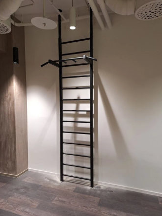 Шведская стенка RS-1TR