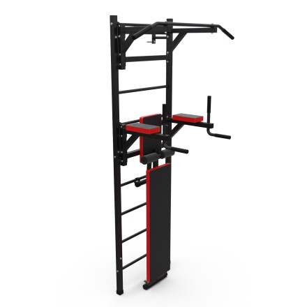 Шведская стенка с опциями DFC Lite VT-6006 (D-1235) Шведская стенка с опциями DFC Lite VT-6006 (D-1235)