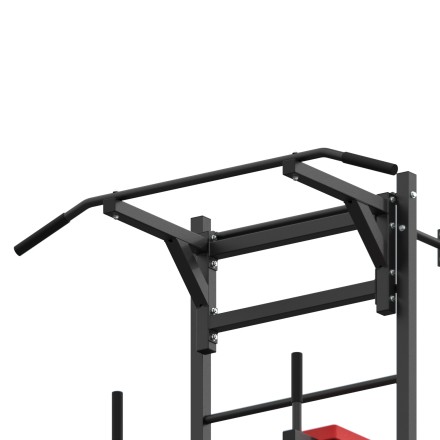 Шведская стенка с опциями DFC Lite VT-6006 (D-1235) Шведская стенка с опциями DFC Lite VT-6006 (D-1235)