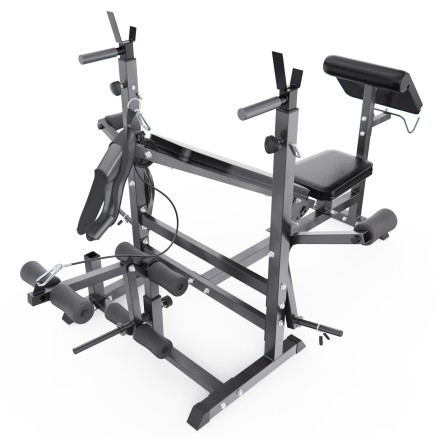 Скамья со стойками под штангу DFC GYRONETICS GN008 с партой для бицепса