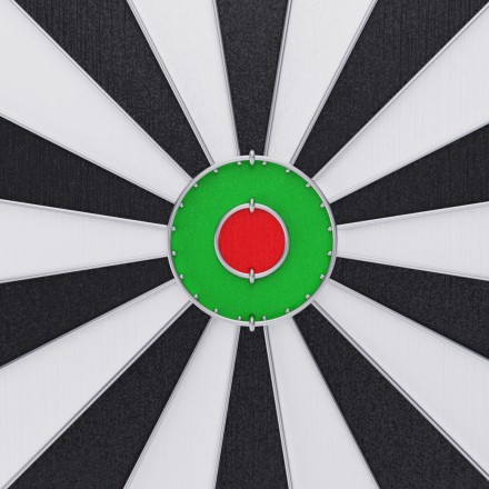 Дартс DFC двусторонний 43 см, 6 дротиков