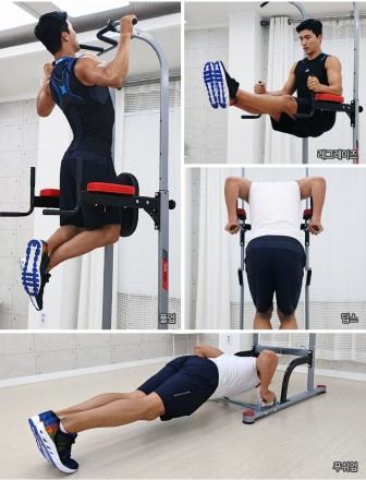 Турник - брусья Power Tower DFC Homegym G040