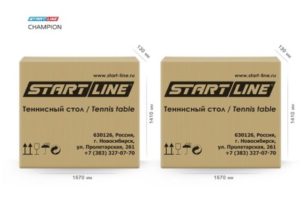 Теннисный стол Champion