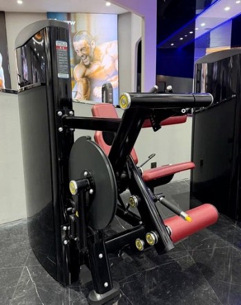 Сгибание/разгибание ног сидя IRON CORE BF33