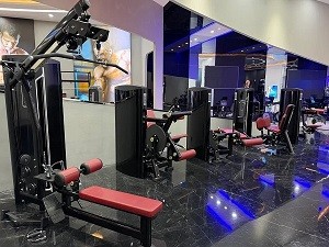 Сгибание/разгибание ног сидя IRON CORE BF33