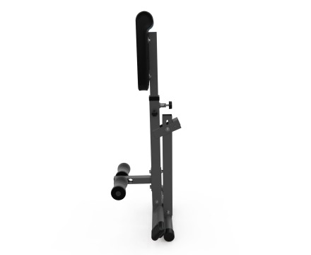 Гиперэкстензия DFC Homegym SJ1006