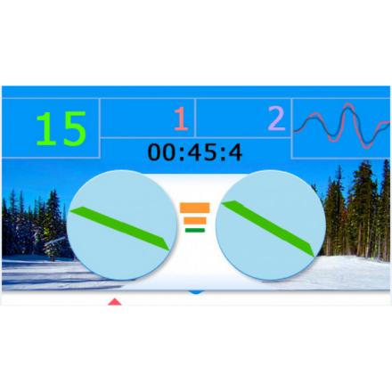 Горнолыжный тренажер PROSKI Simulator Professional Горнолыжный тренажер PROSKI Simulator Professional