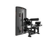 Пресс машина IRON CORE BF35