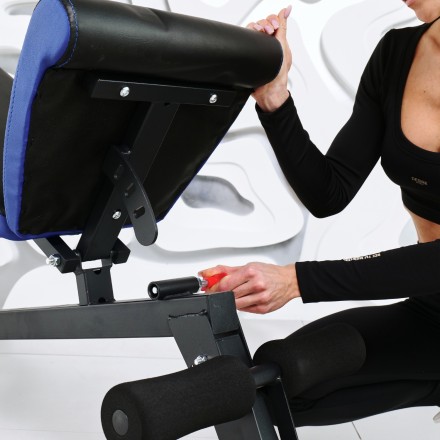 Скамья силовая универсальная DFC Pro Fitness D848 Скамья силовая универсальная DFC Pro Fitness D848