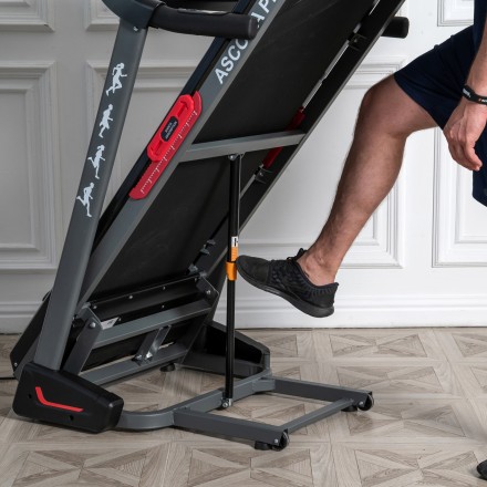 Беговая дорожка DFC ASCONA Pro T640 Беговая дорожка DFC ASCONA Pro T640