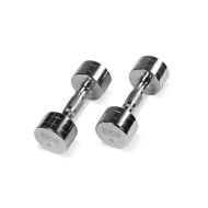 BRONZE GYM BG-PA-DB-C06 Гантель хромированная 6 кг BRONZE GYM BG-PA-DB-C06 Гантель хромированная 6 кг