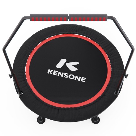 Батут для фитнеса DFC KENSONE 40" BSD-40-Black с поручнем Батут для фитнеса DFC KENSONE 40" BSD-40-Black с поручнем