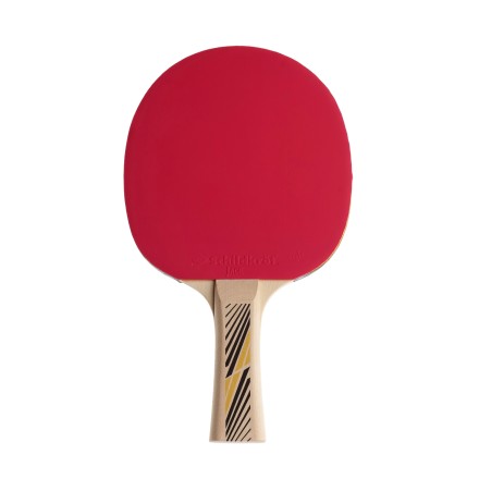 Ракетка DONIC LEGENDS 300 Ракетка DONIC LEGENDS 300