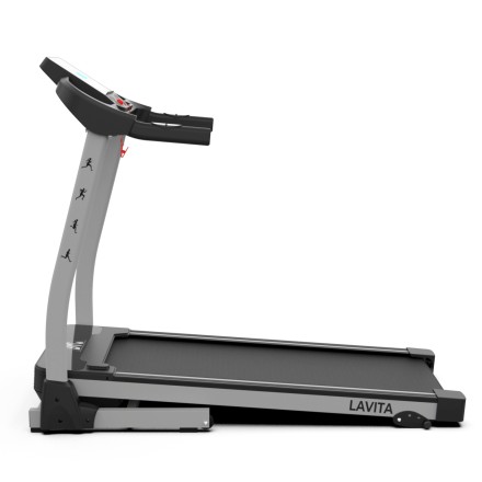 Беговая дорожка DFC LAVITA T350 Беговая дорожка DFC LAVITA T350