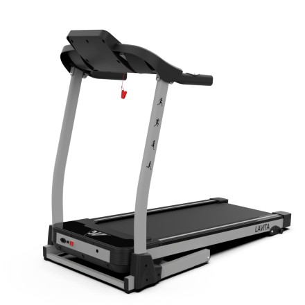 Беговая дорожка DFC LAVITA T350 Беговая дорожка DFC LAVITA T350