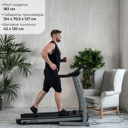 Беговая дорожка DFC LAVITA T350 Беговая дорожка DFC LAVITA T350