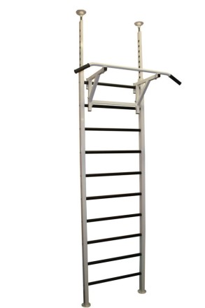 Шведская стенка RS-TR12