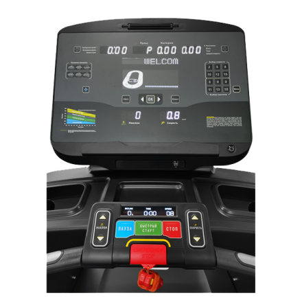 Профессиональная беговая дорожка CardioPower PRO CT500  -  V12Е