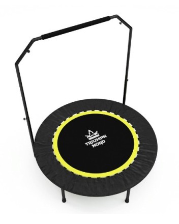 Батут с ручкой Триумф Норд