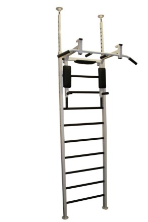 Шведская стенка RS-TR42