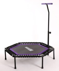Батут TR-401 101 см с держателем, фиолетовый