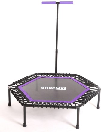 Батут TR-401 101 см с держателем, фиолетовый Батут TR-401 101 см с держателем, фиолетовый