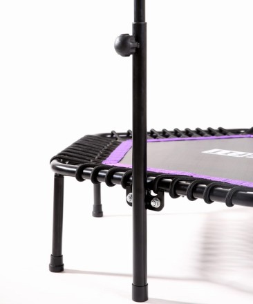 Батут TR-401 101 см с держателем, фиолетовый Батут TR-401 101 см с держателем, фиолетовый