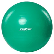 GB01-55  Гимнастический мяч 55 cм Proxima