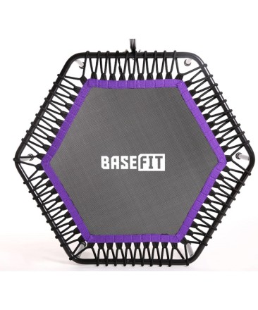 Батут TR-401 112 см с держателем, фиолетовый Батут TR-401 112 см с держателем, фиолетовый