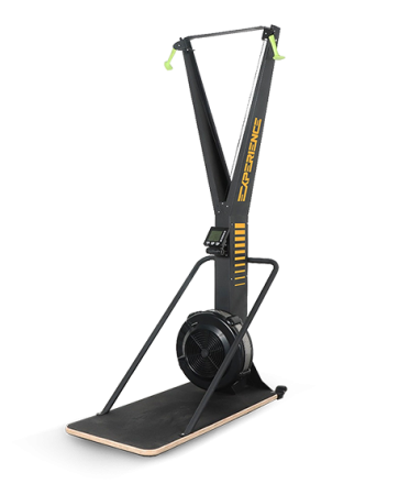 Лыжный тренажер Hasttings EXPERIENCE SKIERG