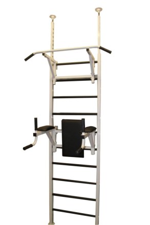 Шведская стенка RS-TR12.22