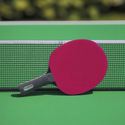 Ракетка DONIC COLOR Z PINK Ракетка DONIC COLOR Z PINK