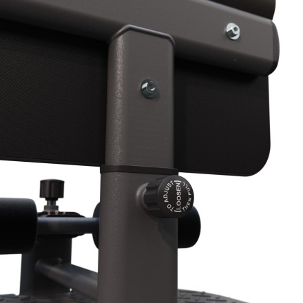 Тренажер для приседаний DFC X-Factor