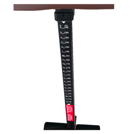 Инверсионный стол Scholle 12N