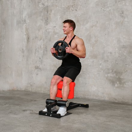 Тренажер для приседаний DFC INSPORTLINE