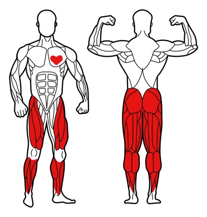 Уличный тренажер для развития мышц икроножных, ягодичных с безынерционным нагрузочным механизмом УТН-04Г Уличный тренажер для развития мышц икроножных, ягодичных с безынерционным нагрузочным механизмом УТН-04Г