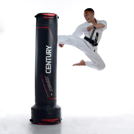 1019421 Спортивный тренажер для единоборств ARASHI 770